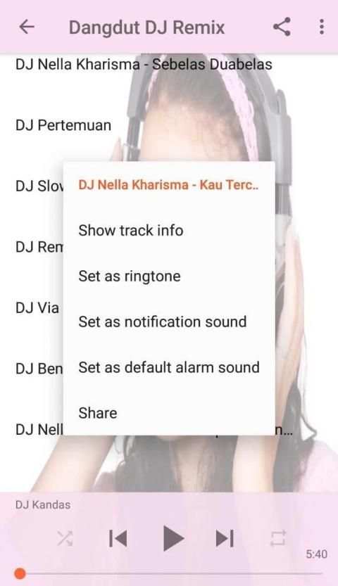 Dangdut DJ Remix screenshot 2