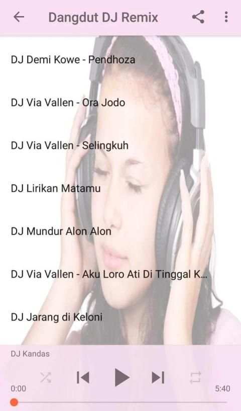 Dangdut DJ Remix screenshot 3