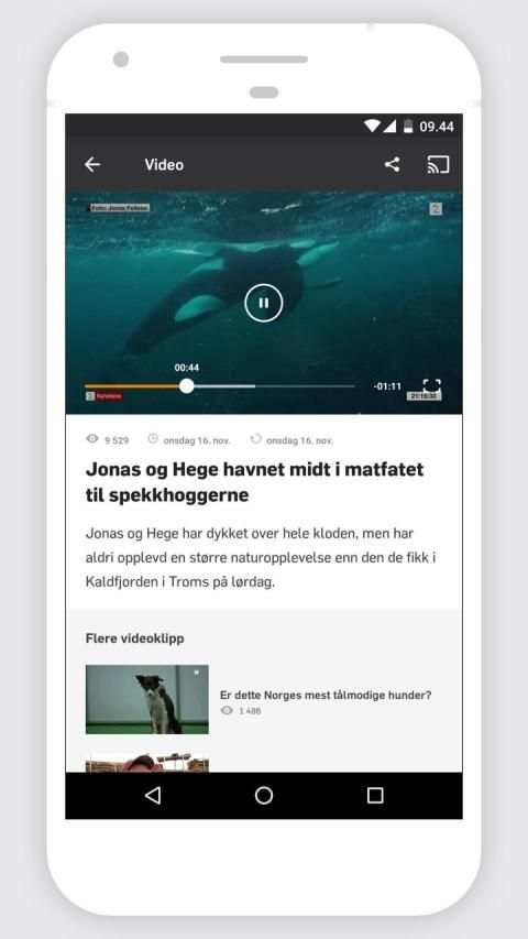 TV 2 screenshot 10