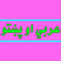 عربي او پښتو
‎