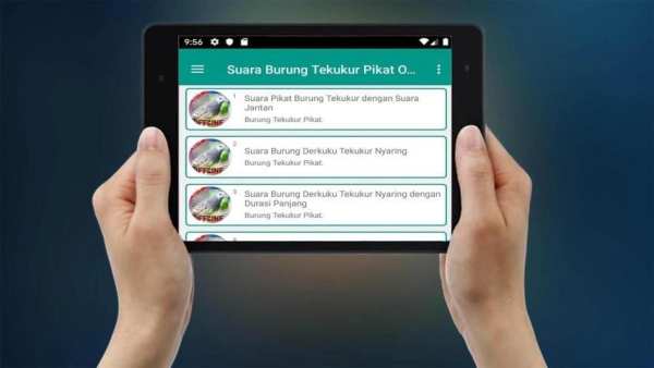 Suara Burung Tekukur Pikat Offline screenshot 1