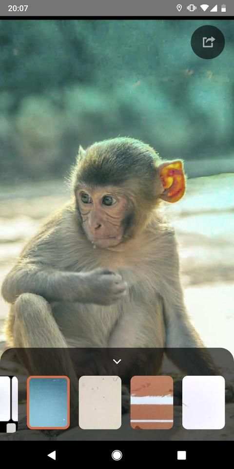 Retrocam : Retro Camera Effects and Filters 6 تصوير الشاشة