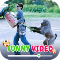 Funny Videos For Whatsapp APK Download 2022 - Free - 9Apps
