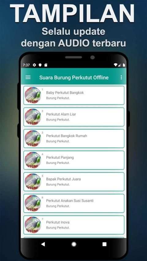 Suara Burung Perkutut Offline screenshot 4