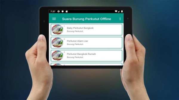 Suara Burung Perkutut Offline screenshot 1