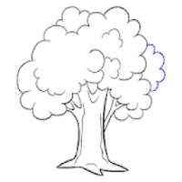 Tree Picture Draw