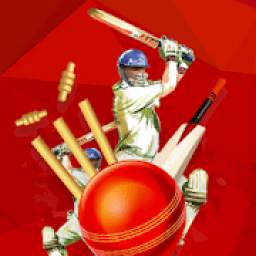 Cricket Run Live - TAMIL NADU PREMIER LEAGUE 2019