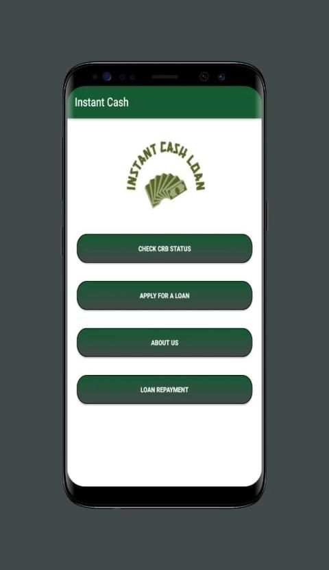 Insatant Cash Loans screenshot 1