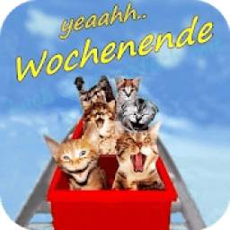Schönes Wochenende Bilder 1.0
