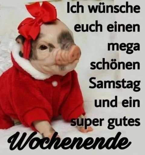 Schönes Wochenende Bilder screenshot 12