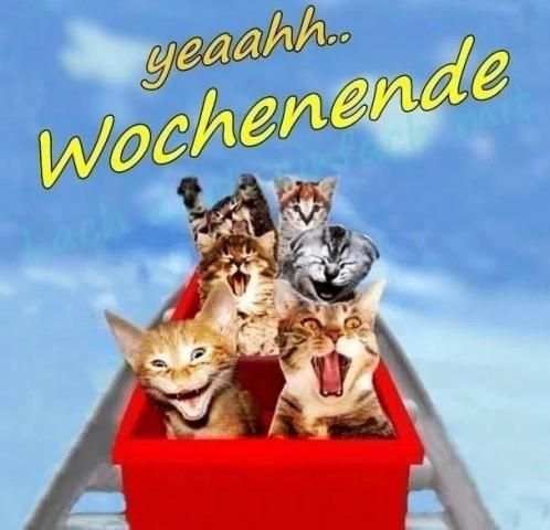 Schönes Wochenende Bilder screenshot 1