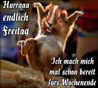 Schönes Wochenende Bilder screenshot 4