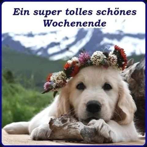 Schönes Wochenende Bilder screenshot 14