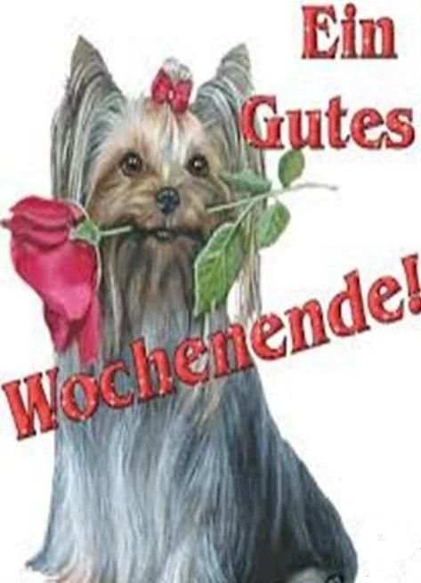 Schönes Wochenende Bilder screenshot 2
