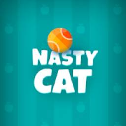 Brain teasers for free - Nasty Cat