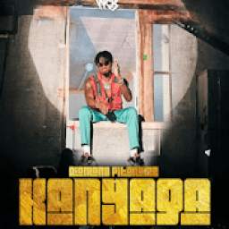 Diamond Platnumz - Kanyaga (Official Audio) 9.3