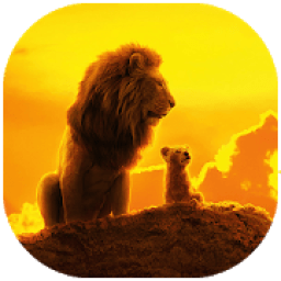 Wallpapers for Lion King आइकन