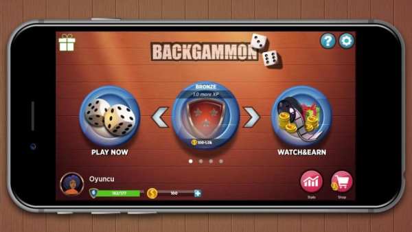 Backgammon - Offline Free Board Games screenshot 11