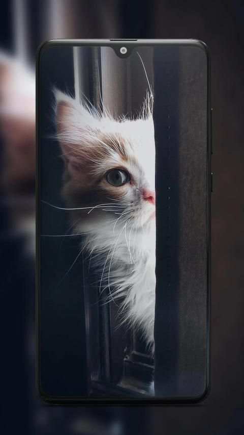 Best & HD Wallpapers Backgrounds screenshot 5