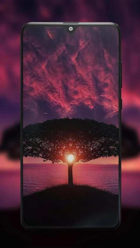 Best & HD Wallpapers Backgrounds screenshot 6