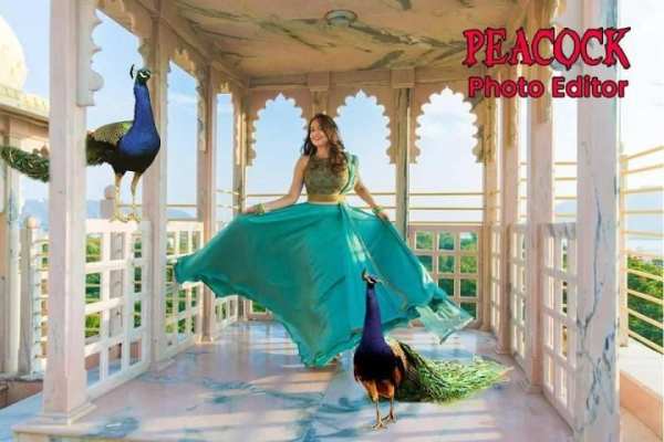 Peacock Photo Editor : Photo Frame screenshot 3