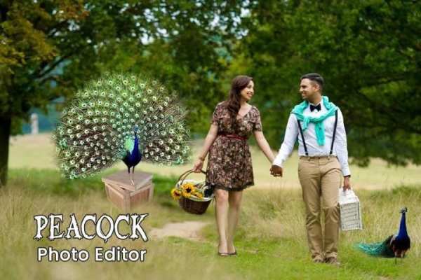 Peacock Photo Editor : Photo Frame screenshot 5