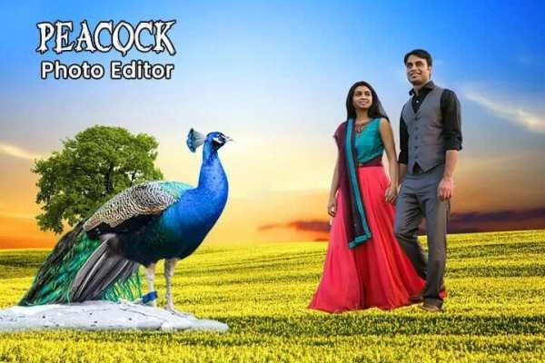 Peacock Photo Editor : Photo Frame screenshot 1