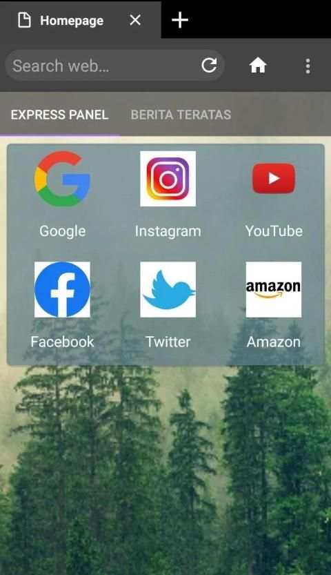 Web browser स्क्रीनशॉट 4