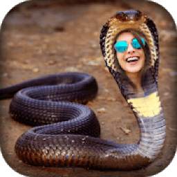 Snake Photo Frame - New Version