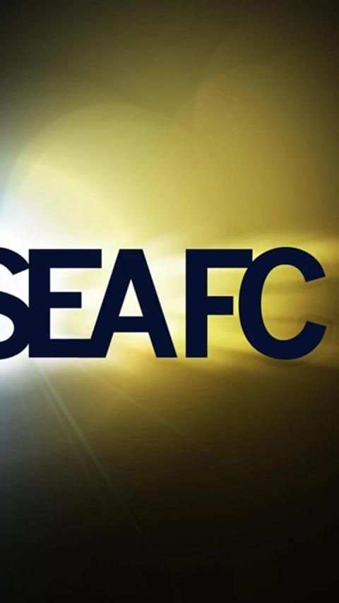 Wallpapers for Chelsea FC screenshot 3