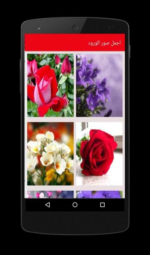 اجمل صور باقات ورد و باقات زهور *♥
‎ screenshot 3
