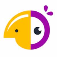 hatchful shopify : Free Logo Creator