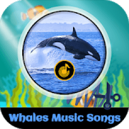 ikon Whales Music Songs