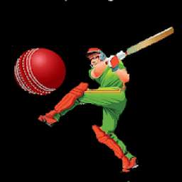 Dream11 Dream Team 1.0