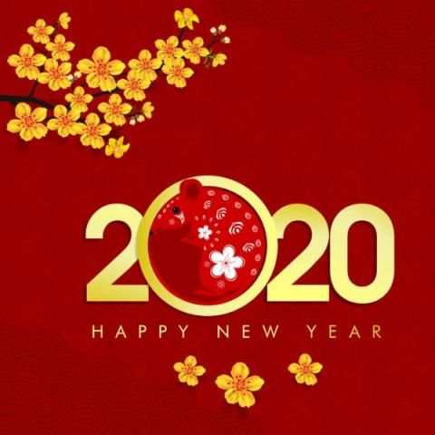 Chinese New Year स्क्रीनशॉट 10
