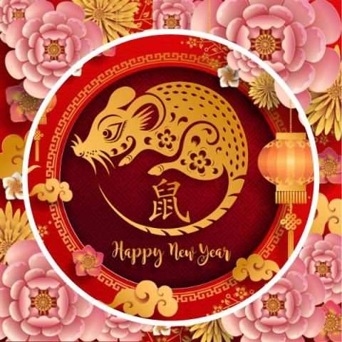 Chinese New Year स्क्रीनशॉट 9