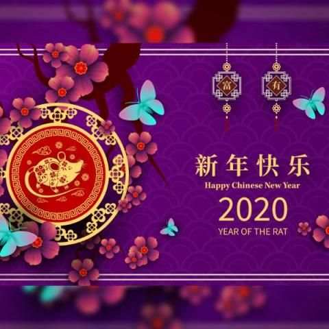 Chinese New Year स्क्रीनशॉट 7