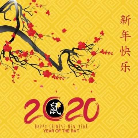 Chinese New Year स्क्रीनशॉट 6