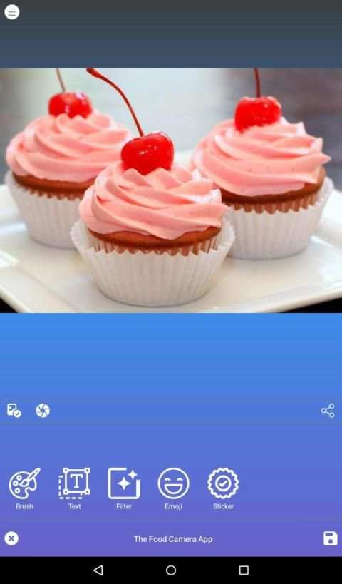 Food Camera App screenshot 8