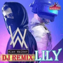 Dj LILY Alan Walker Ofline icon