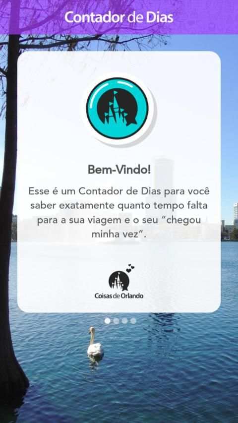Contador de Dias screenshot 6