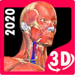 Anatomy Learning - 3D Online Anatomy Atlas