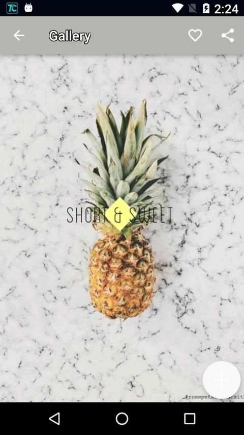 Own Wallpaper screenshot 1