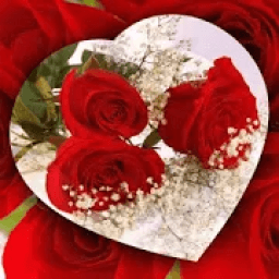 ikon Flowers GIF Images 2020