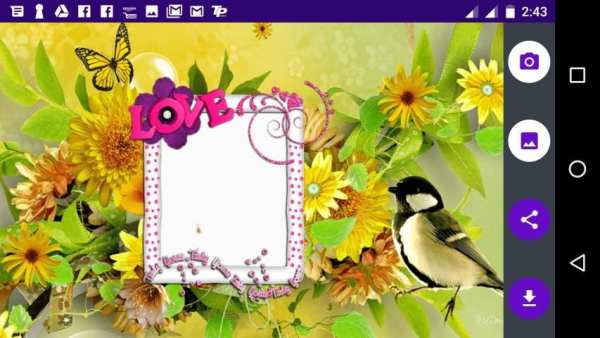 Butterfly Photo Frames 5 تصوير الشاشة
