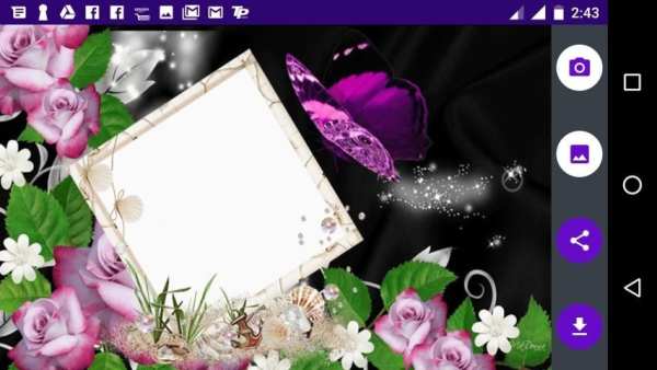 Butterfly Photo Frames 6 تصوير الشاشة