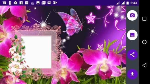Butterfly Photo Frames 4 تصوير الشاشة