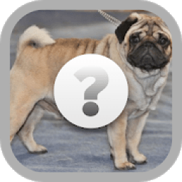 Guess the dog أيقونة