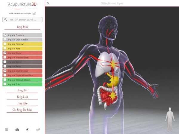 Acupuncture 3D स्क्रीनशॉट 12
