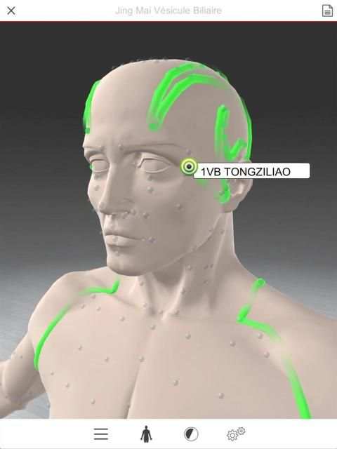 Acupuncture 3D स्क्रीनशॉट 10